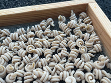 Load image into Gallery viewer, Dried Pasta - Box of 4
